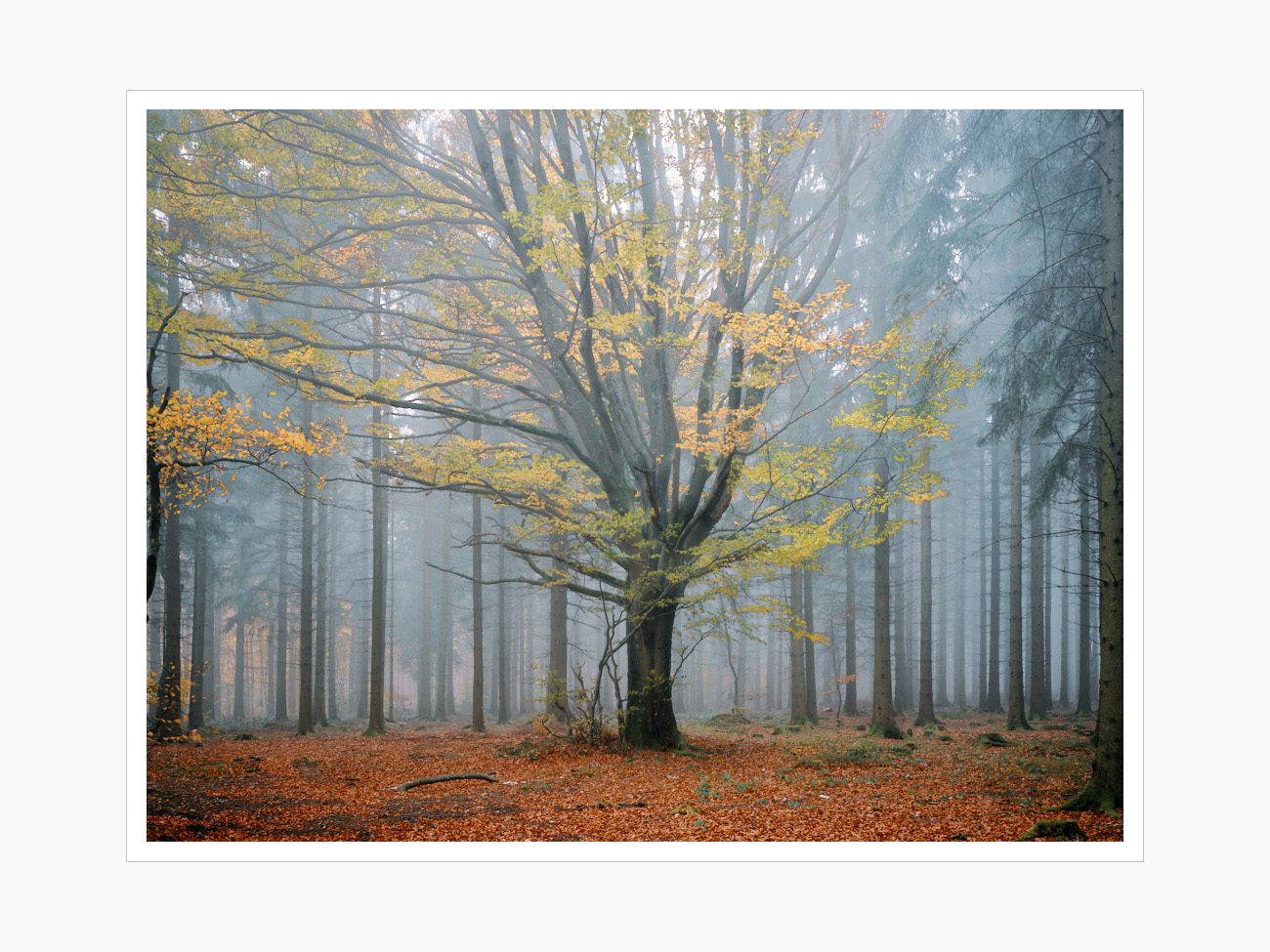 Max Schiefele Alle Bilder DSC00010